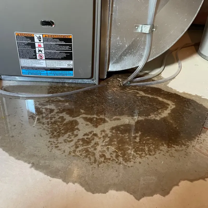 Appliance Leak Cleanup in Rogers, TX