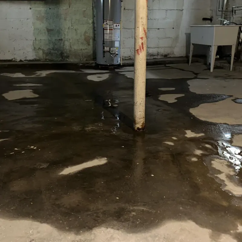 Emergency Water Extraction And Removal in Rogers, TX